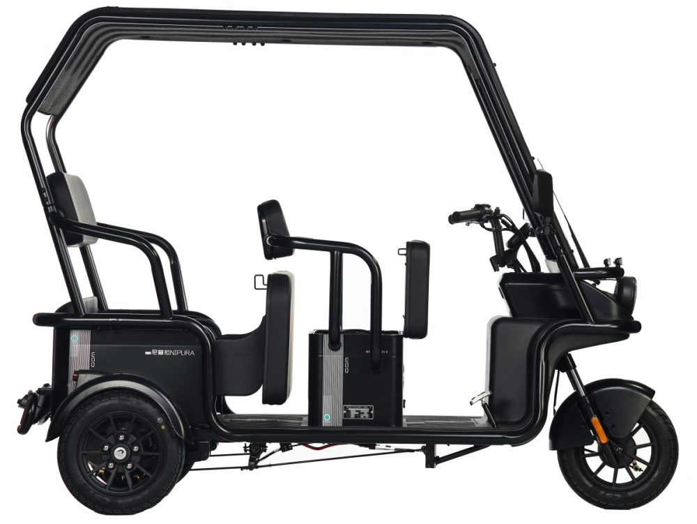 Электротрицикл Wanshida NIPLA 570 60V 1000Вт
